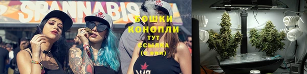 метамфетамин Белокуриха