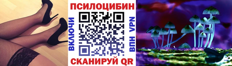 hydra tor Чаплыгин Галлюциногенные грибы прущие грибы